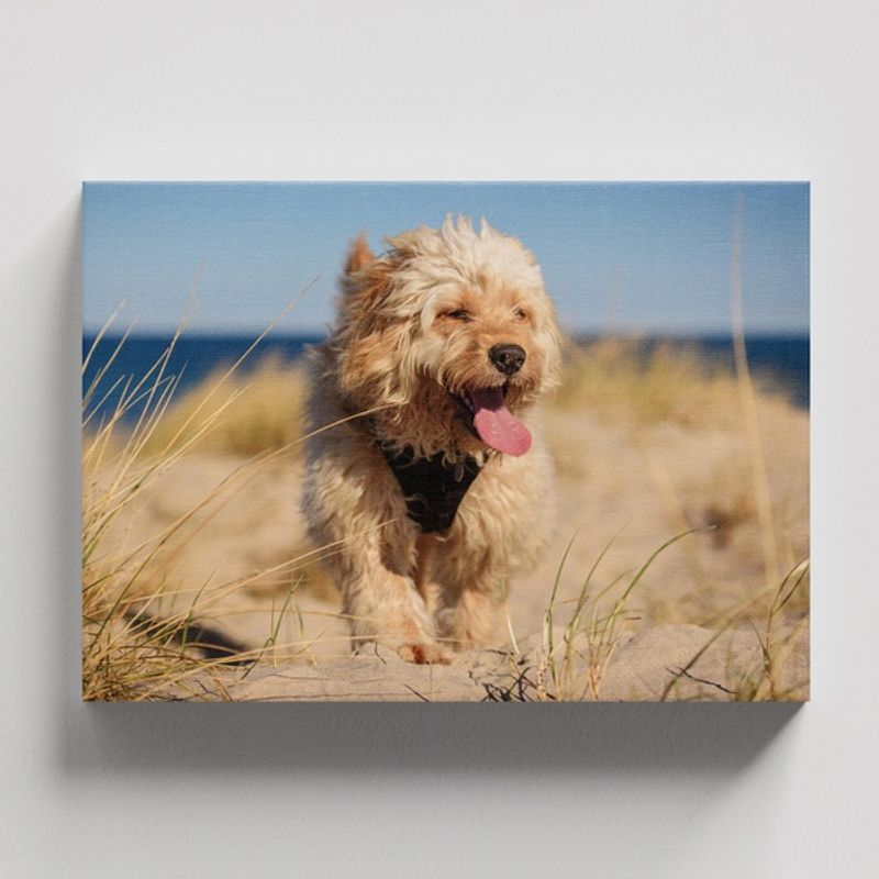 TAYRONA STORE - Cuadros Retablo Animales Perro 489 - 50x35cm