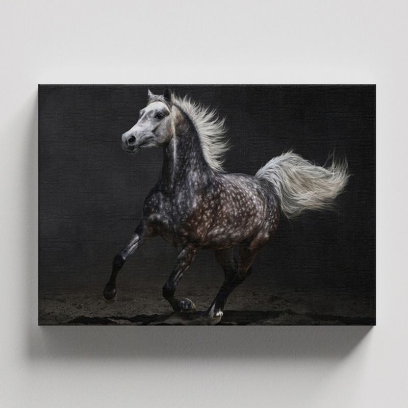 TAYRONA STORE - Cuadros Retablo Animales Caballos 278 - 50x35cm