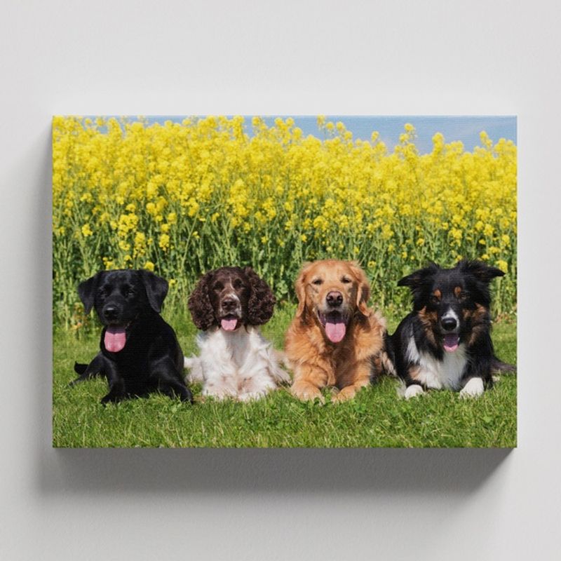 TAYRONA STORE - Cuadros Retablo Animales Perro 474 - 50x35cm