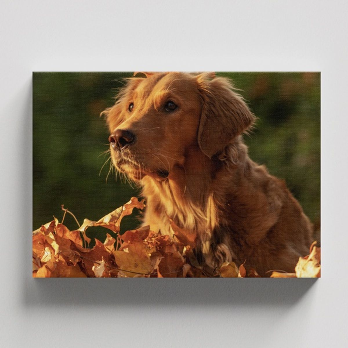 TAYRONA STORE - Cuadros Retablo Animales Perro 476 - 50x35cm