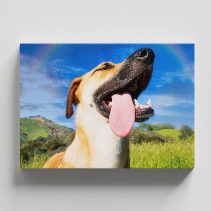 TAYRONA STORE - Cuadros Retablo Animales Perro 475 - 50x35cm