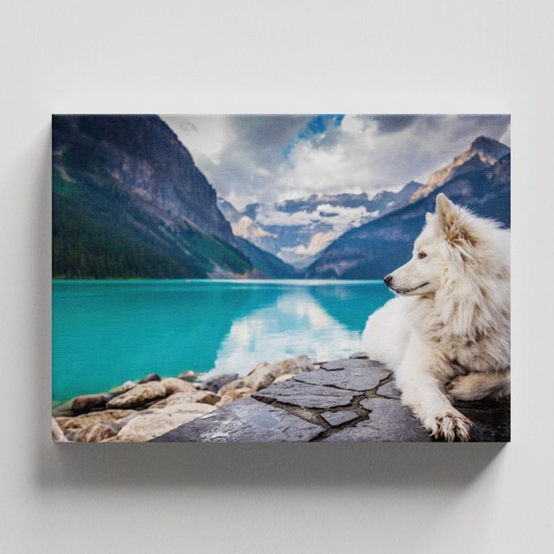 TAYRONA STORE - Cuadros Retablo Animales Perro 487 - 50x35cm