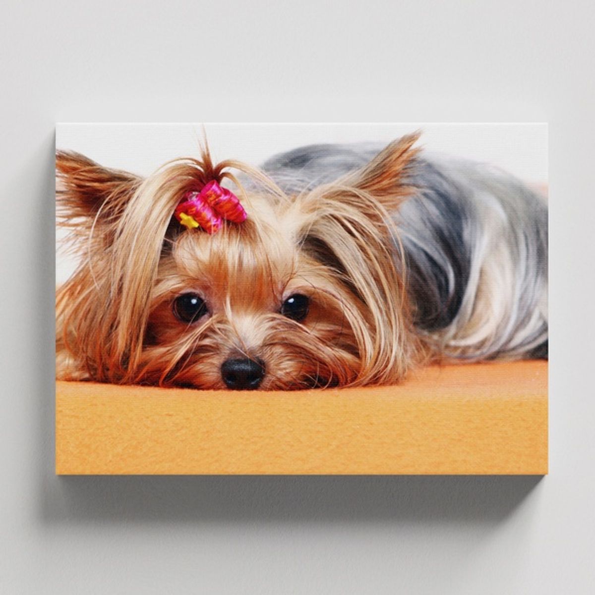 TAYRONA STORE - Cuadros Retablo Animales Perro 492 - 50x35cm