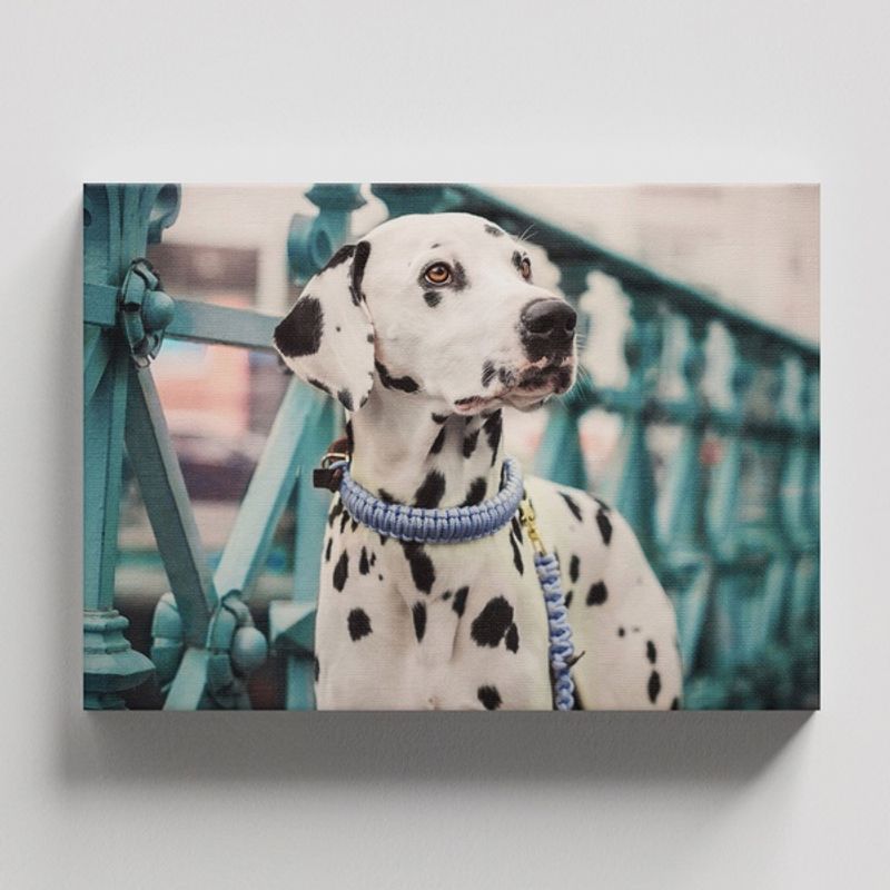 TAYRONA STORE - Cuadros Retablo Animales Perro 483 - 50x35cm