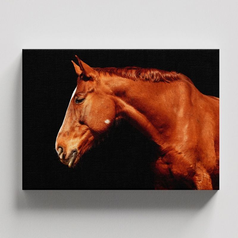 TAYRONA STORE - Cuadros Retablo Animales Caballos 280 - 50x35cm