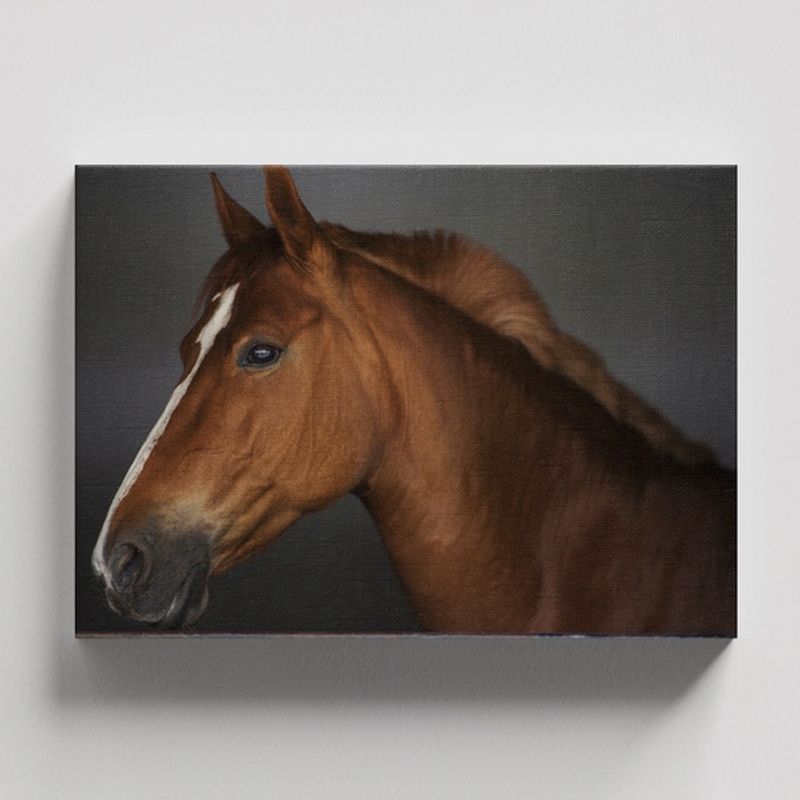 TAYRONA STORE - Cuadros Retablo Animales Caballos 281 - 50x35cm