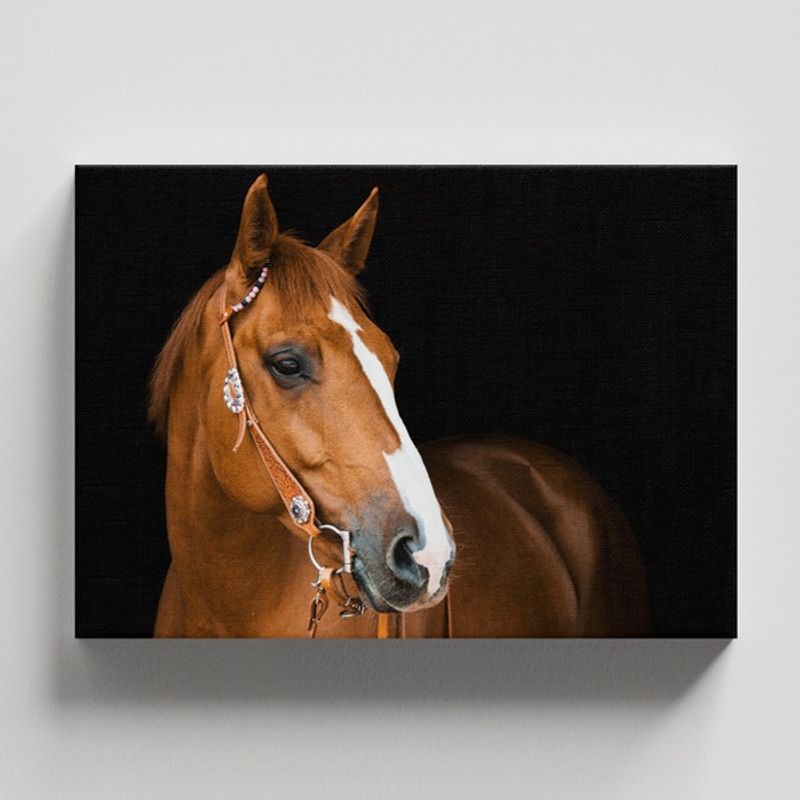 TAYRONA STORE - Cuadros Retablo Animales Caballos 282 - 50x35cm
