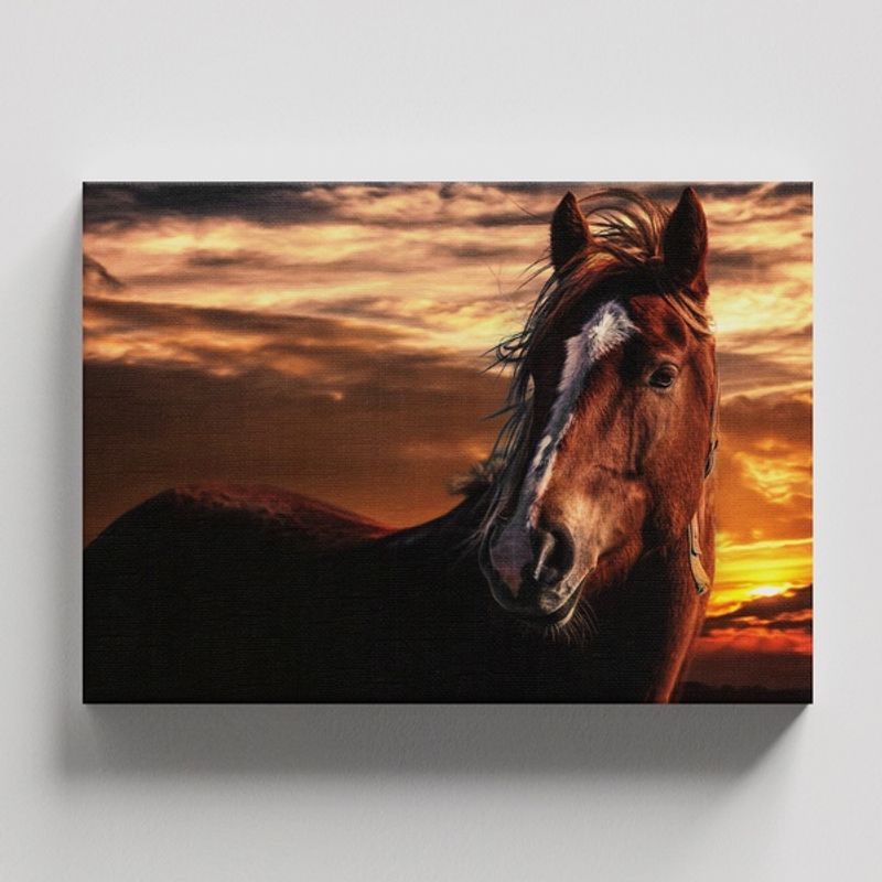 TAYRONA STORE - Cuadros Retablo Animales Caballos 283 - 50x35cm
