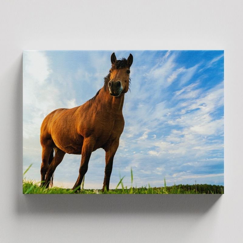 TAYRONA STORE - Cuadros Retablo Animales Caballos 285 - 50x35cm