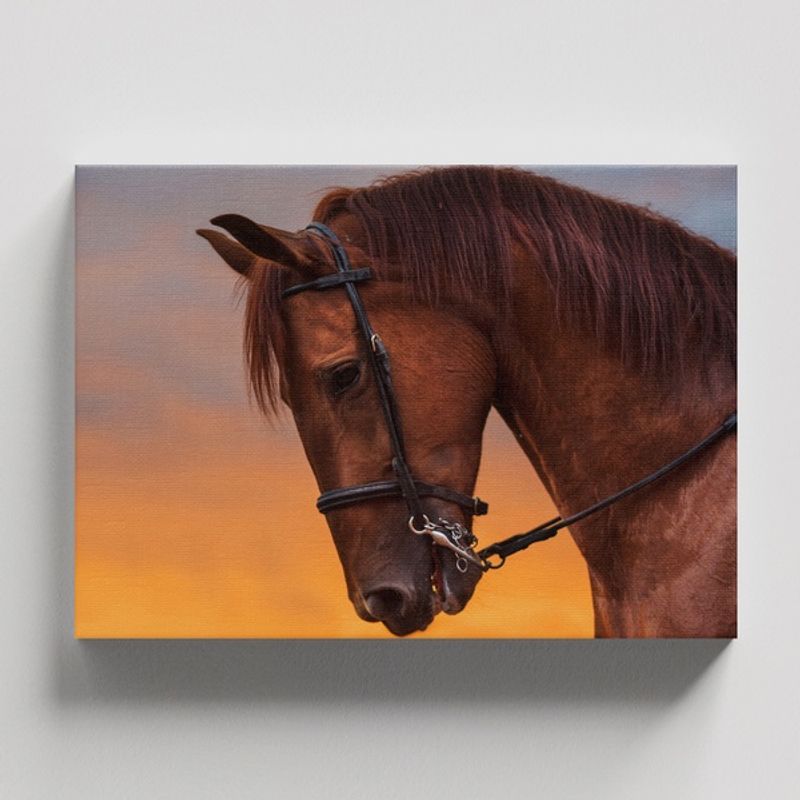 TAYRONA STORE - Cuadros Retablo Animales Caballos 287 - 50x35cm