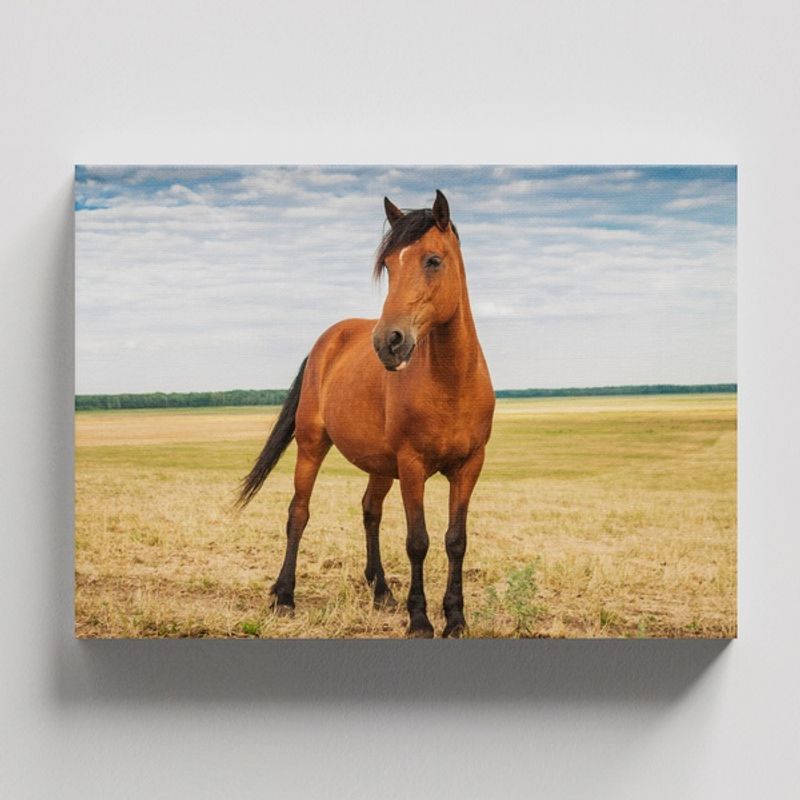 TAYRONA STORE - Cuadros Retablo Animales Caballos 290 - 50x35cm