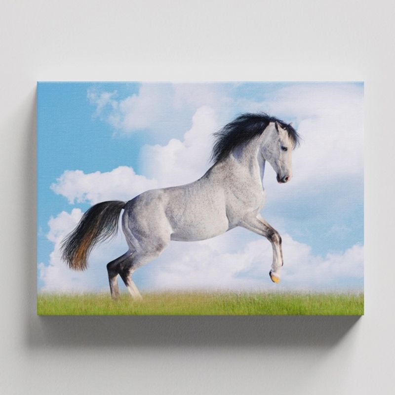 TAYRONA STORE - Cuadros Retablo Animales Caballos 292 - 50x35cm
