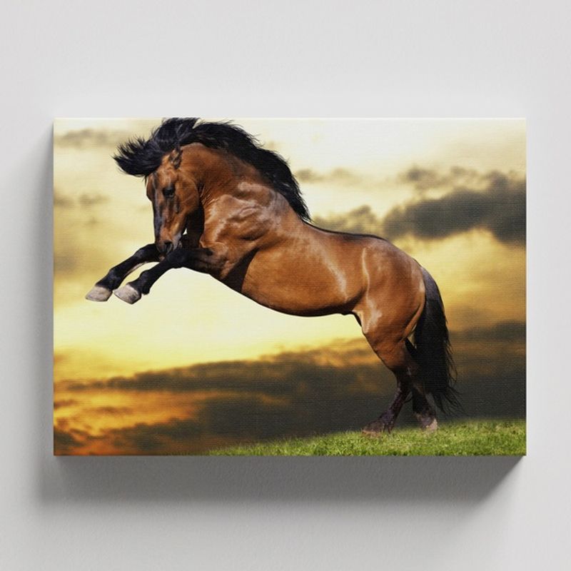 TAYRONA STORE - Cuadros Retablo Animales Caballos 294 - 50x35cm