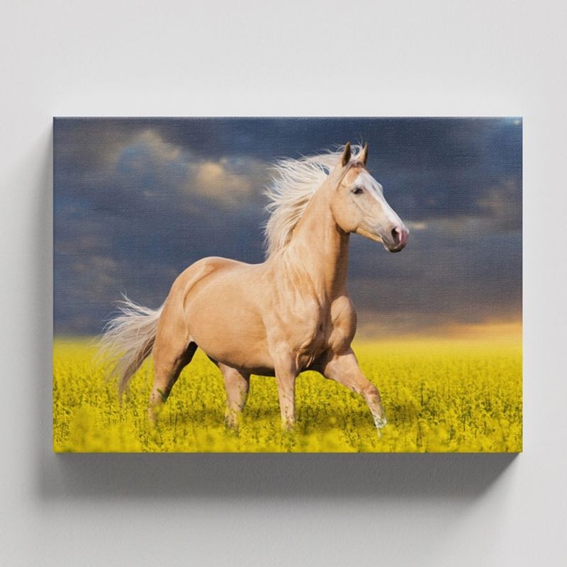 TAYRONA STORE - Cuadros Retablo Animales Caballos 299 - 50x35cm