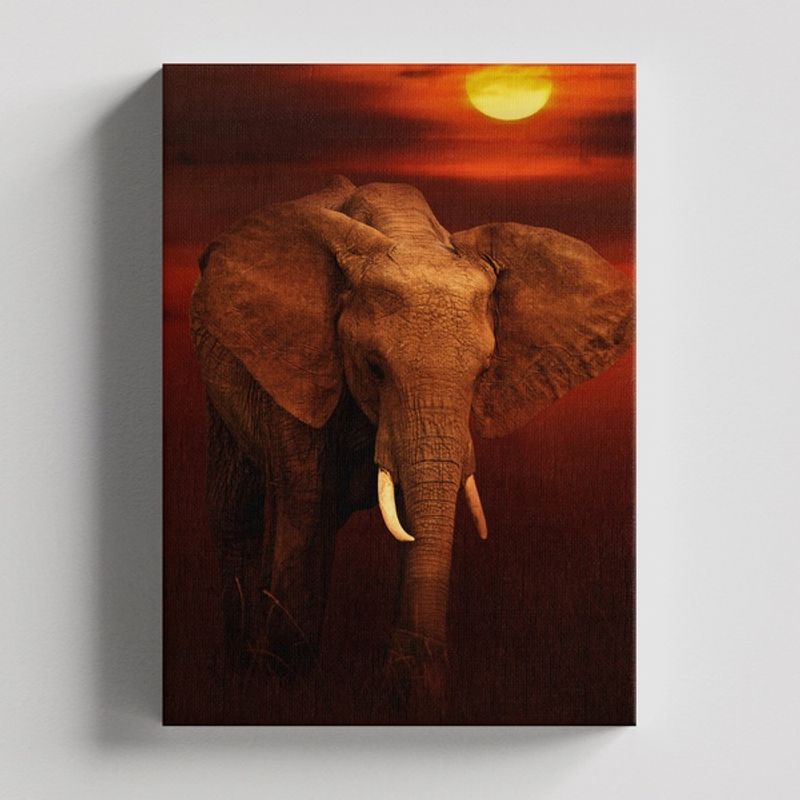 TAYRONA STORE - Cuadros Retablo Animales Elefantes 358 - 35x50cm