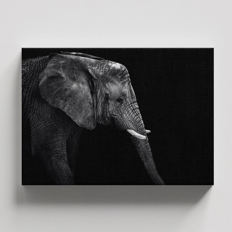 TAYRONA STORE - Cuadros Retablo Animales Elefantes 366 - 50x35cm