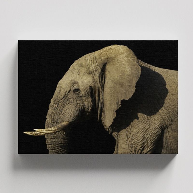 TAYRONA STORE - Cuadros Retablo Animales Elefantes 367 - 50x35cm