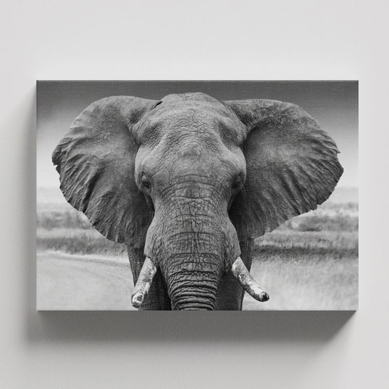 TAYRONA STORE - Cuadros Retablo Animales Elefantes 372 - 50x35cm