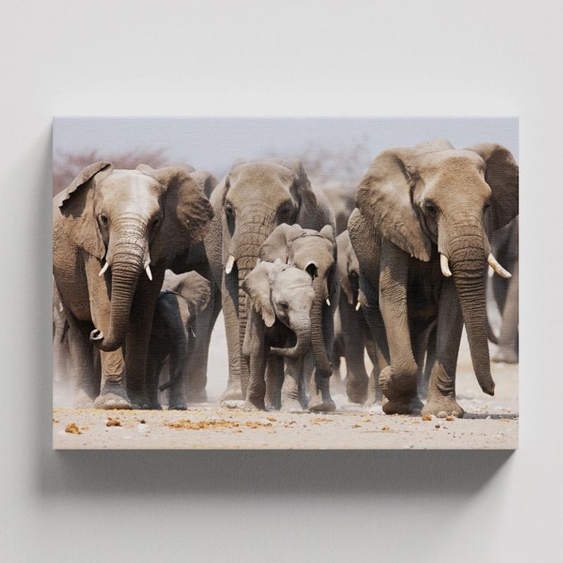 TAYRONA STORE - Cuadros Retablo Animales Elefantes 373 - 50x35cm