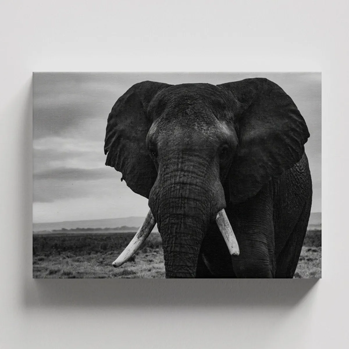 TAYRONA STORE - Cuadros Retablo Animales Elefantes 381 - 50x35cm