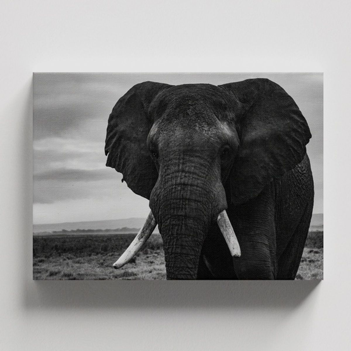 TAYRONA STORE - Cuadros Retablo Animales Elefantes 381 - 50x35cm