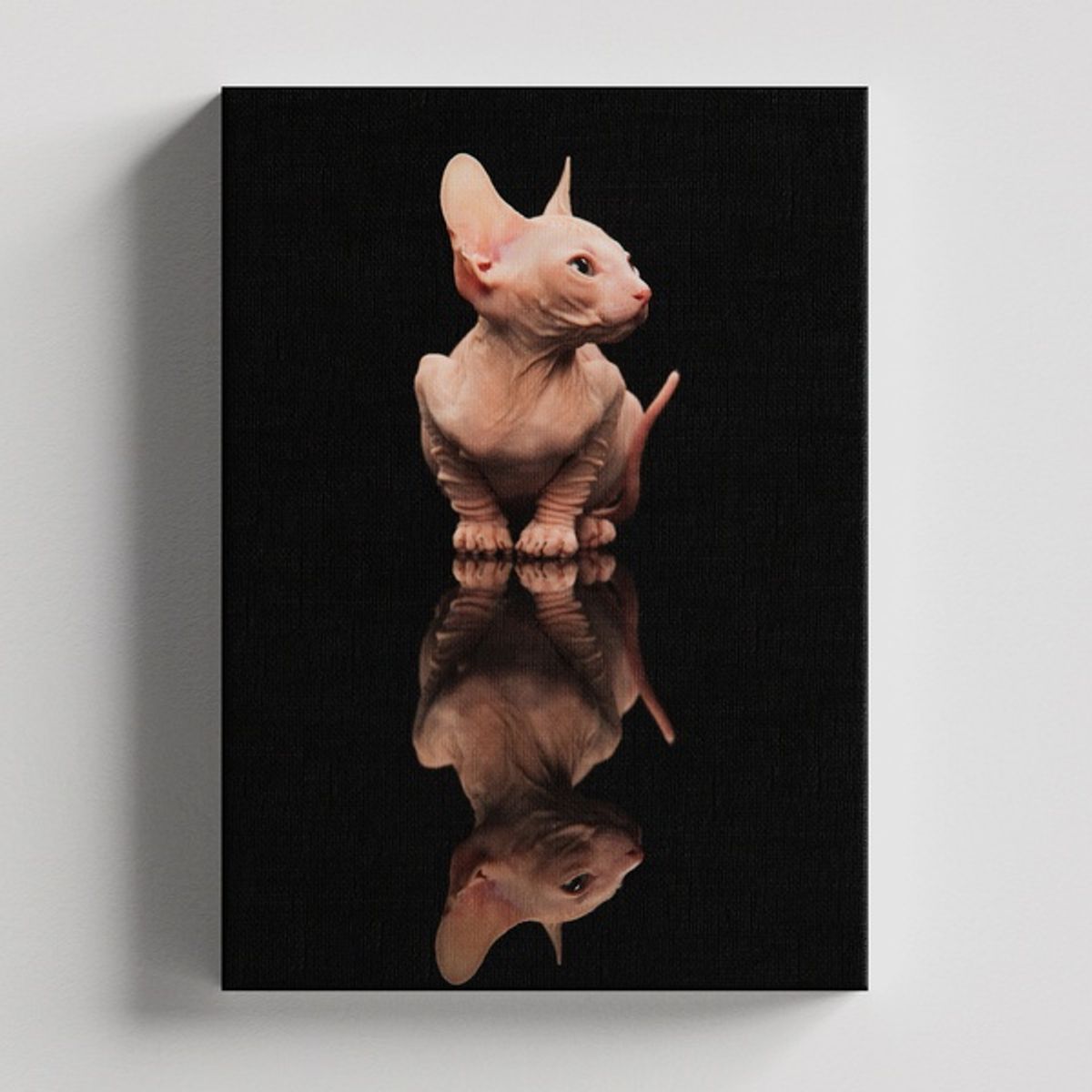 TAYRONA STORE - Cuadros Retablo Animales Gatos 421 - 35x50cm