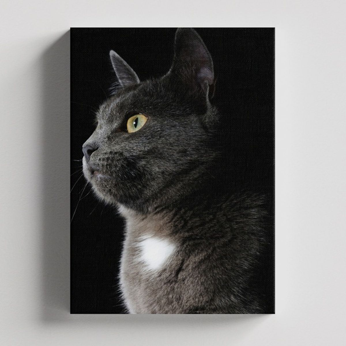 TAYRONA STORE - Cuadros Retablo Animales Gatos 424 - 35x50cm