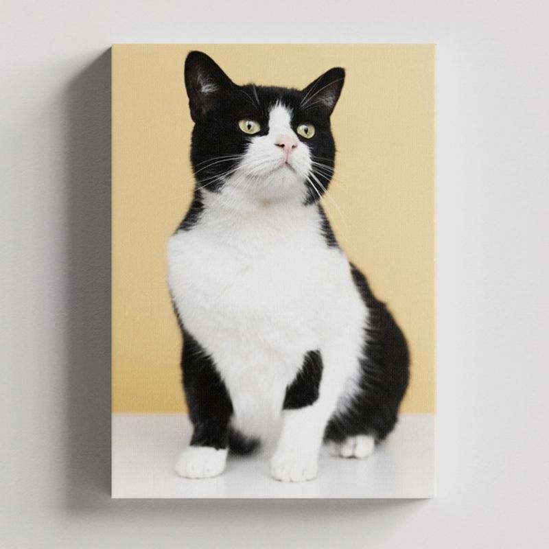 TAYRONA STORE - Cuadros Retablo Animales Gatos 432 - 50x35cm