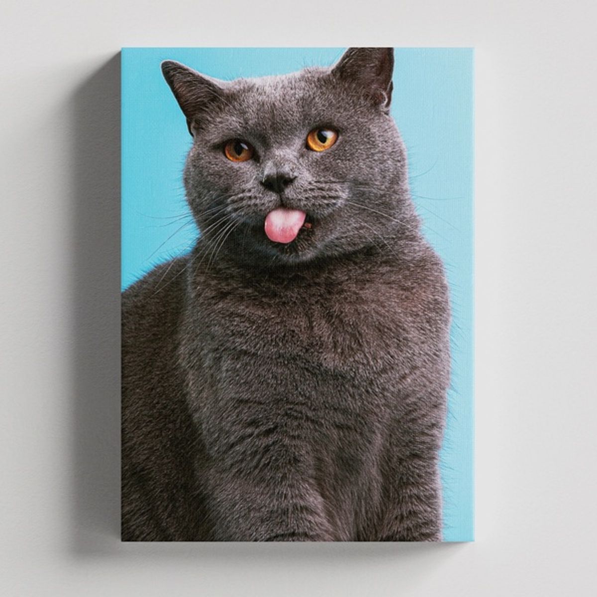 TAYRONA STORE - Cuadros Retablo Animales Gatos 433 - 50x35cm