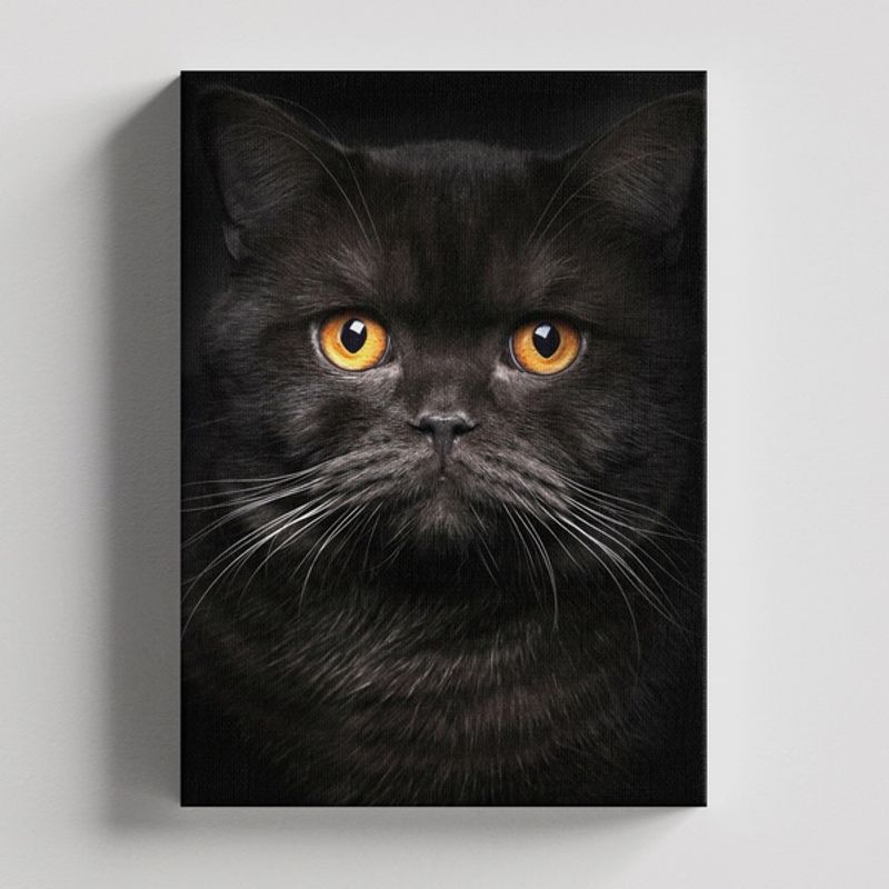 TAYRONA STORE - Cuadros Retablo Animales Gatos 419 - 35x50cm
