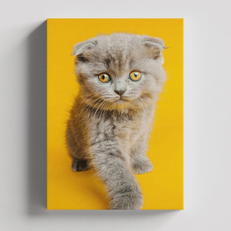 TAYRONA STORE - Cuadros Retablo Animales Gatos 436 - 50x35cm