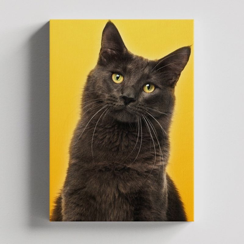 TAYRONA STORE - Cuadros Retablo Animales Gatos 438 - 50x35cm