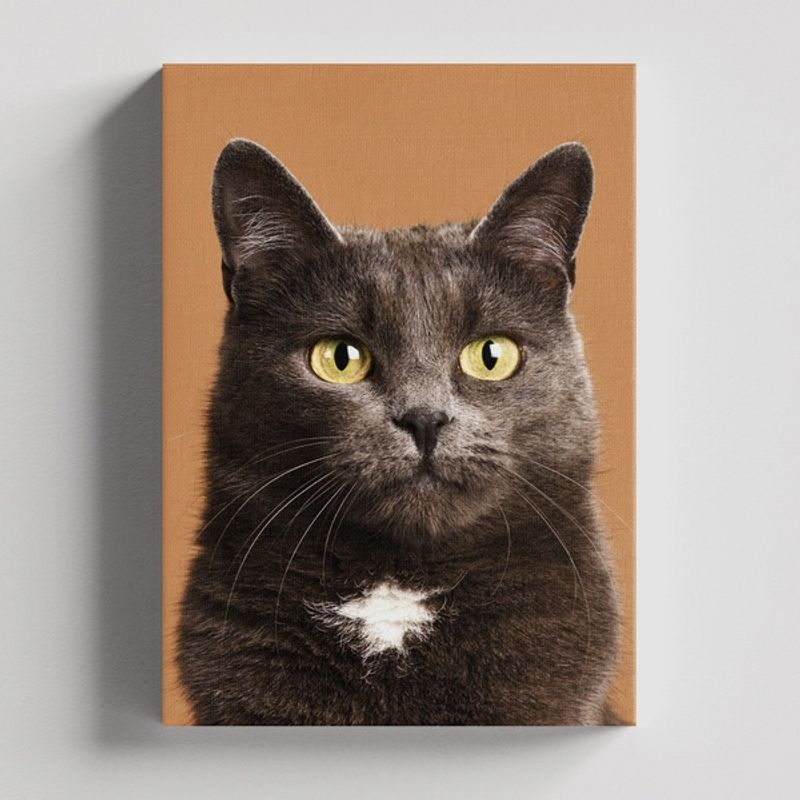 TAYRONA STORE - Cuadros Retablo Animales Gatos 441 - 50x35cm