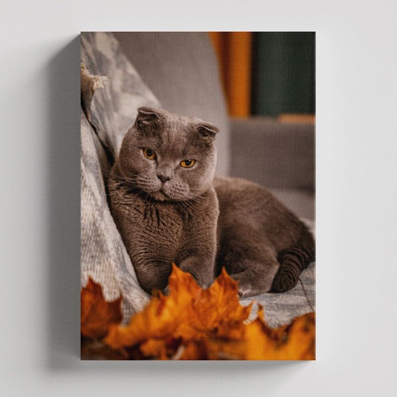 TAYRONA STORE - Cuadros Retablo Animales Gatos 452 - 50x35cm