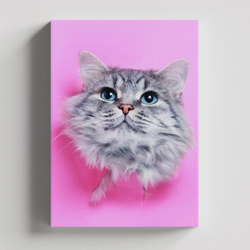 TAYRONA STORE - Cuadros Retablo Animales Gatos 443 - 50x35cm