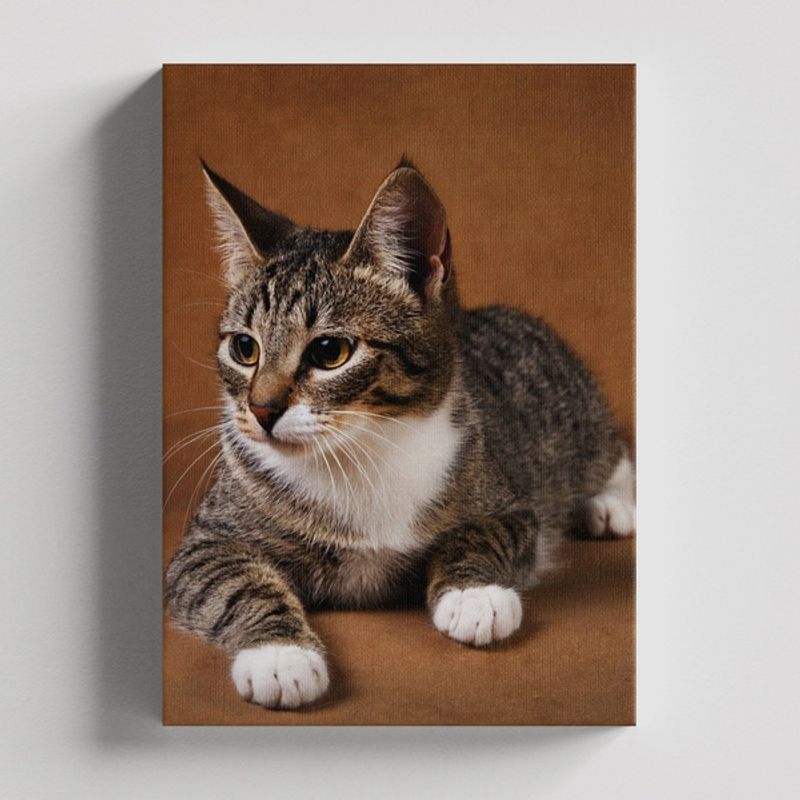 TAYRONA STORE - Cuadros Retablo Animales Gatos 444 - 50x35cm
