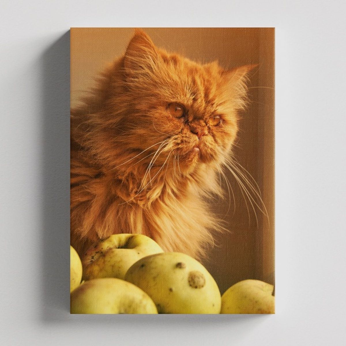 TAYRONA STORE - Cuadros Retablo Animales Gatos 458 - 50x35cm