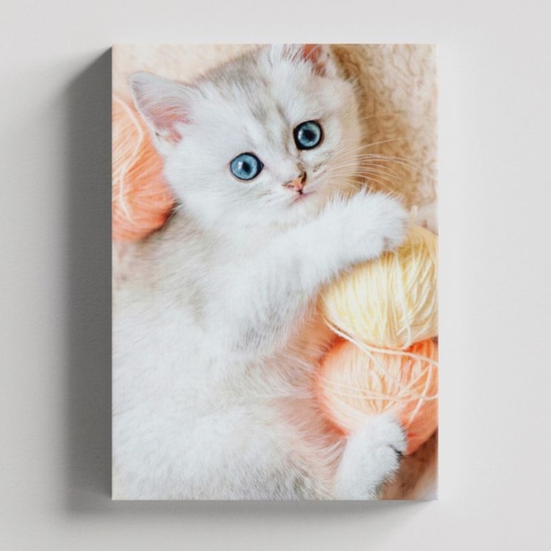 TAYRONA STORE - Cuadros Retablo Animales Gatos 462 - 50x35cm