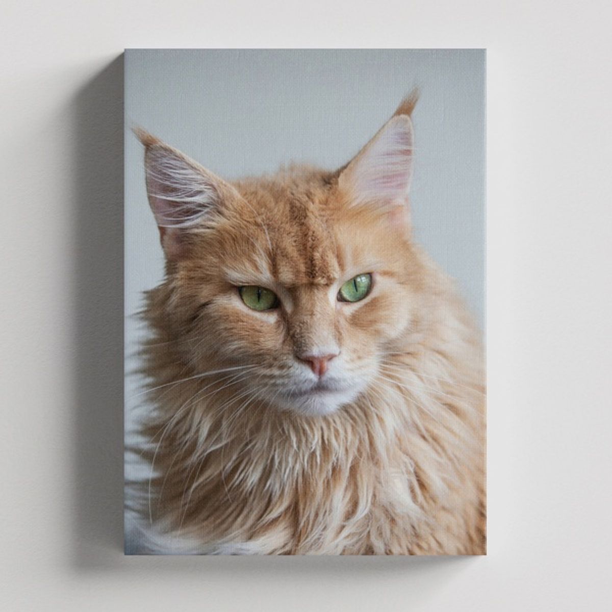 TAYRONA STORE - Cuadros Retablo Animales Gatos 464 - 50x35cm