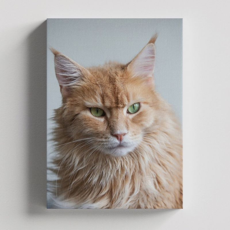 TAYRONA STORE - Cuadros Retablo Animales Gatos 464 - 50x35cm