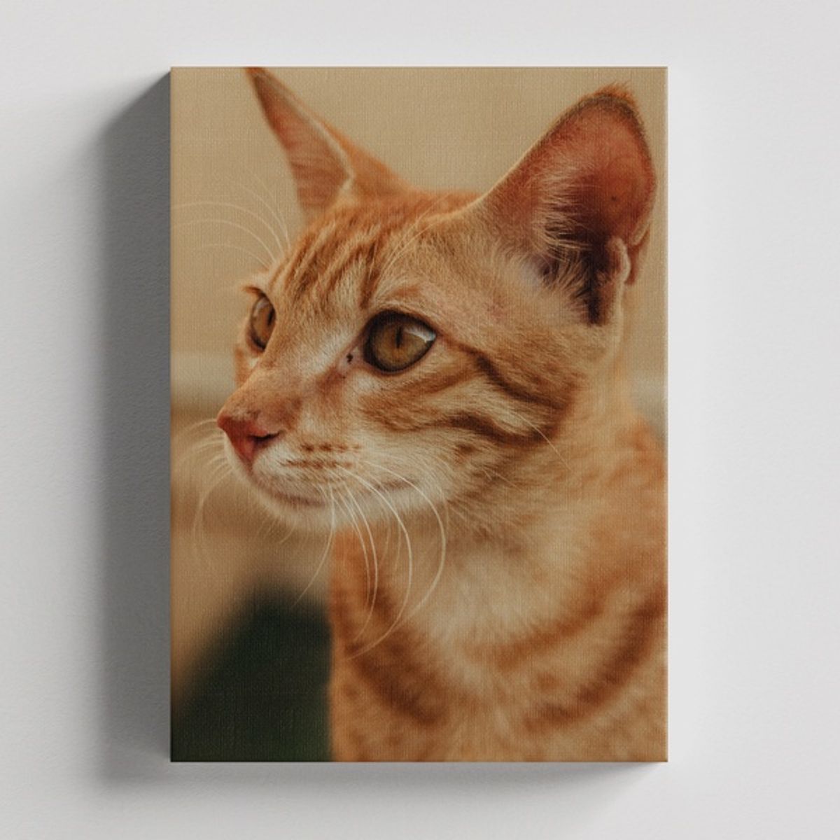 TAYRONA STORE - Cuadros Retablo Animales Gatos 467 - 50x35cm
