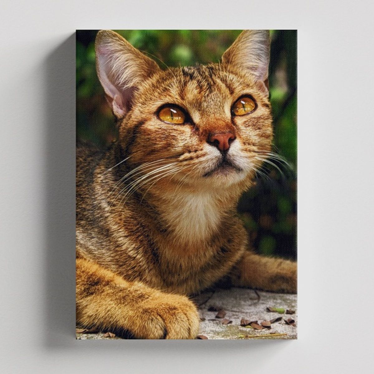 TAYRONA STORE - Cuadros Retablo Animales Gatos 468 - 50x35cm