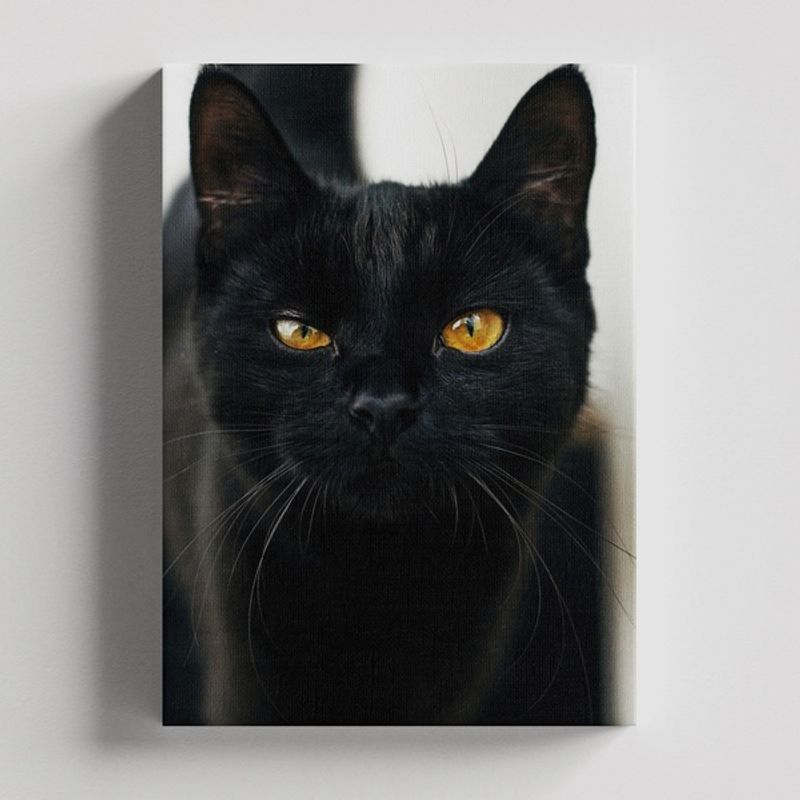 TAYRONA STORE - Cuadros Retablo Animales Gatos 469 - 50x35cm