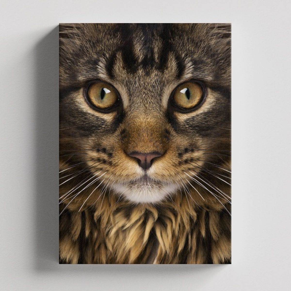 TAYRONA STORE - Cuadros Retablo Animales Gatos 470 - 50x35cm