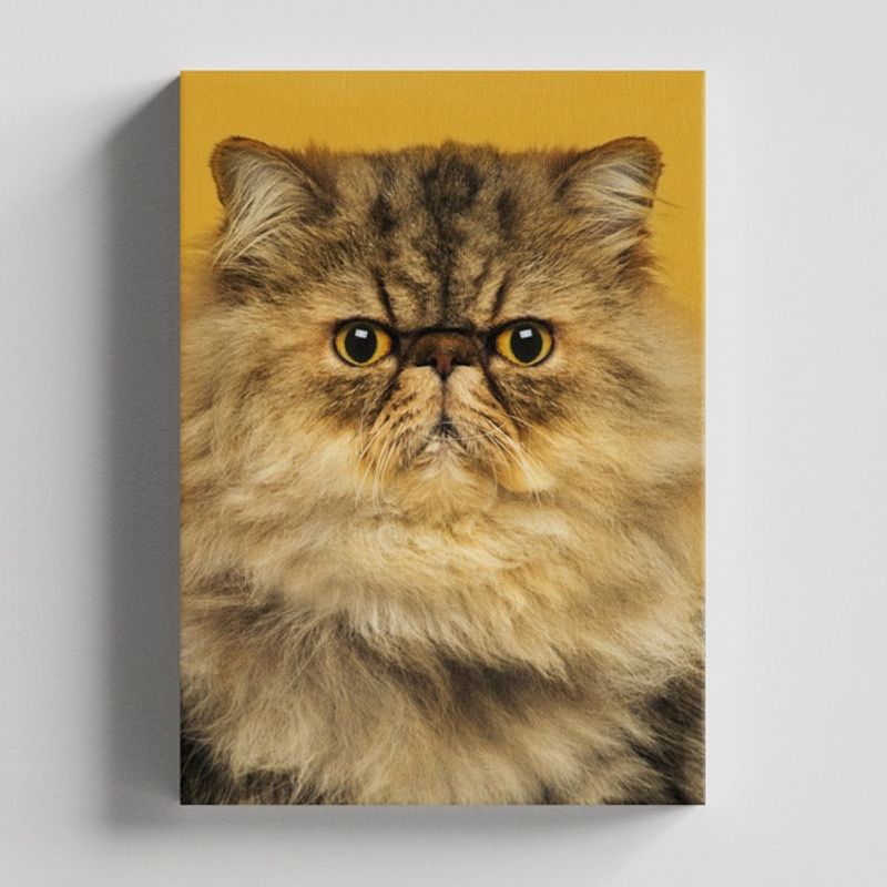 TAYRONA STORE - Cuadros Retablo Animales Gatos 482 - 50x35cm