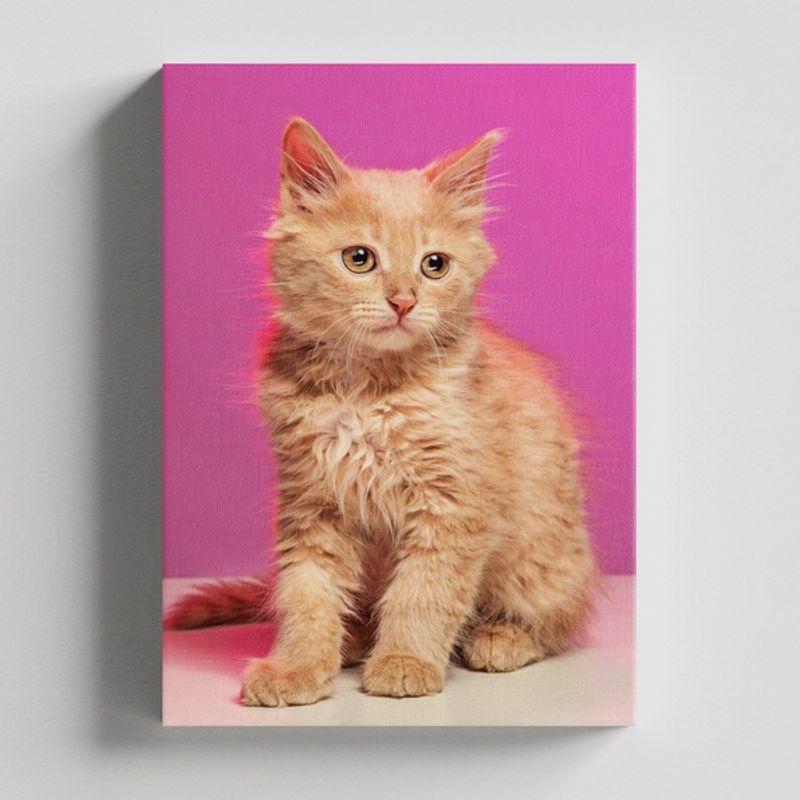 TAYRONA STORE - Cuadros Retablo Animales Gatos 487 - 50x35cm