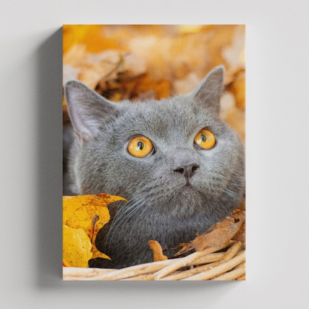 TAYRONA STORE - Cuadros Retablo Animales Gatos 485 - 50x35cm