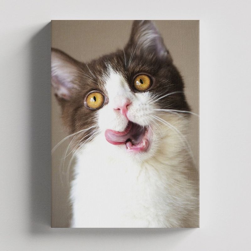 TAYRONA STORE - Cuadros Retablo Animales Gatos 488 - 50x35cm