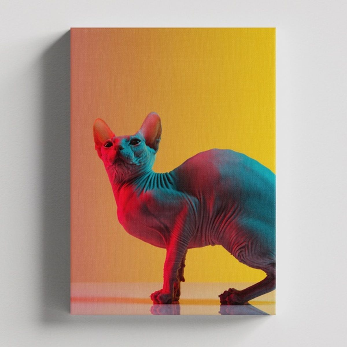 TAYRONA STORE - Cuadros Retablo Animales Gatos 489 - 50x35cm