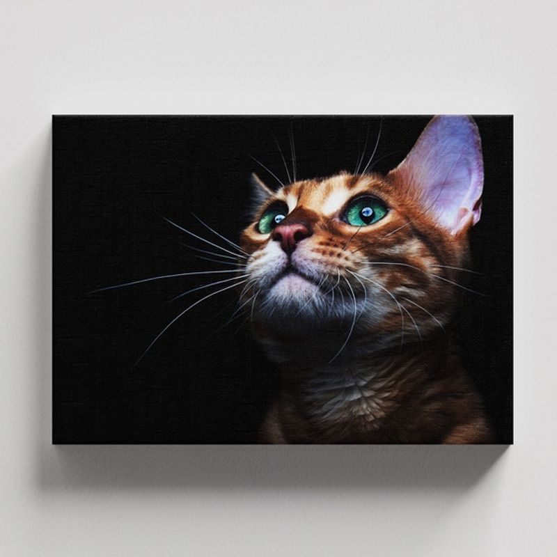 TAYRONA STORE - Cuadros Retablo Animales Gatos 530 - 50x35cm